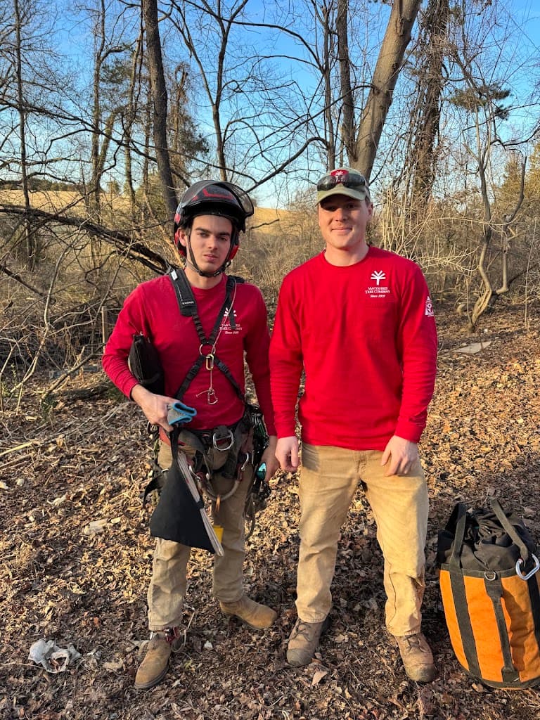 Two Van Yahres Tree Company crew members in climbing gear, ready to work